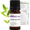 Aroma Labs Verbena Odorosa BIO (Aloysia citriodora) - 5 mL - Olio Essenziale Chemiotipizzato e Certificato AB - Aroma Labs - Made in France