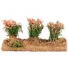 Bertoni S.r.l. Campo di Fiori Rosa per Presepe