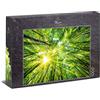 Ulmer Puzzleschmiede - Puzzle Luce e ombra - Puzzle atmosferico della foresta con 1000 pezzi - Il sole brilla attraverso le cime degli alberi quando si guarda verso l'alto