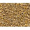 Molino Zappala' 1Kg Grano Tenero