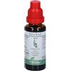 Lizofarm BIO-STRATH SALVIA STRATH FITOGOCCE 30 ML