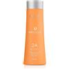 Revlon Eksperience 2A Reconstruct Repair Hair Cleanser 250 ml