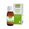 Carpinus Laboratoires Boiron BOIRON® Carpinus Betulus - Gemme 60 ml Soluzione orale