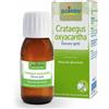Crataegus BOIRON® Crataegus Oxyacantha Giovani Getti 60 ml Soluzione orale