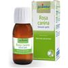 Rosa Laboratoires Boiron BOIRON® Rosa Canina Giovani Getti 60 ml Soluzione orale