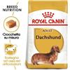 ROYAL CANIN Bassotto Dachshund Kg 1,5. Royal Canin Cibo Secco Per Cani