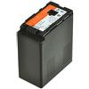 Jupio VPA0001 Batteria per Panasonic VW-VBG6, Nero