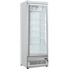 Murale Espositore congelatore. Lt. 425 - Dim.cm. 75x76x199,7h. Temp. -18°/-22°C