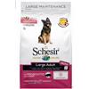 Schesir Dog Large Maintenance Prosciutto Kg.12 Cibo Secco per Cani