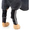 Zunea Manicotto Cane Morbido Tutore Cane Zampa Posteriore Riflessivo Wrap Protector e extra supporto, Gamba Hock Compressione per Ferita Infortuni e Slogature Guarigione di Artrite Nero S