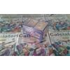 CALCIATORI PANINI 2015-16 100 BUSTINE VERSIONE OMAGGIO ! !