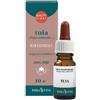 ERBA VITA GROUP SpA Tuja Olio Essenziale, 10ml, Erba Vita, Olio Naturale, Purificante e Rinforzante