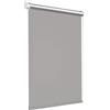 Victoria M. Tenebra Tenda a Rullo Termica Oscurante, Rivestimento Isolante, Montaggio con e senza Fori, Avvolgibile, Grigio, 160 cm x 160 cm (Larghezza x Altezza)
