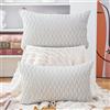 Madizz 2 Pezzi Federe in Velluto Copricuscini Morbido Decorativo Fodere per Cuscino Lusso Stile per Divano Camera da Letto Bianco grigio Rettangolare 30x50 cm