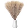 Colexy Erba di Pampa Artificiale, 5 Pz Fiore di Canna di Erba Lanuginosa 45cm Erba Finta di Pampa per Decorazione Boho, Soffici Rami di Erba Secca per matrimoni, stanza, estetica (Marrone)