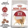 Royal Canin Fit 32 kg 10. Cibo Secco Per Gatti