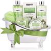 BRUBAKER Cosmetics Set bagno e doccia in Aloe Vera - Set regalo 7 pezzi in vasca decorativa