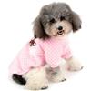 ZUNEA Cappottino Maglione Invernale per Cani di Piccola Taglia Gatto Felpe in Pile Caldo e Morbido Pullover Felpa Cucciolo Cappotto Chihuahua Vestiti Animali Abbigliamento Rosa M