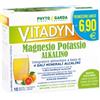 Vitadyn Magnesio Potassio Alkalino Senza Zucchero 10 Bustine