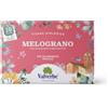 Valverbe Tisana Melograno Biologico 20 Filtri - Pacco da 6 - 180 g