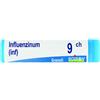 Boiron Influenzinum 9CH Medicinale Omeopatico in Granuli, 1g
