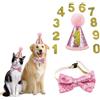 DHER Papillon Di Compleanno Per Animali Del Cappello Della Festa Di Compleanno Set Di Decorazioni Per Feste Per Animali Domestici Cappello Di Compleanno Per Cani Papillon Decorazioni Per Feste (rosa)