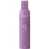 EMSIBETH STYLE PROOF HAIRSPRAY LACCA SPRAY 300ML