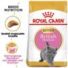 ROYAL CANIN Kitten British Shorthair 20kg (2x10 kg)