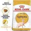 ROYAL CANIN Sphynx Adult 20kg (2x10kg)