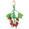 Record BEST FRIEND MINI FATTORIA CILIEGIE IN LEGNO CARTA E LUFFA