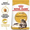 ROYAL CANIN Maine Coon Adult 20kg (2x10kg)