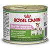 ROYAL CANIN ITALIA SpA Starter Mousse - 195GR