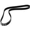 DAYCO 6PK1160 CINGHIA POLY-V SCUDO-DUCATO VERS.19