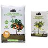 Cifo Lupini per Agrumi e piante Acidofile 2,5 kg & Concime idrosolubile per agrumi da frutto e ornamentali 600 g