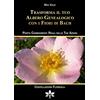 Radici in Cielo Trasforma il tuo albero genealogico con i fiori di Bach. Porta cambiamenti reali nelle tue azioni