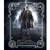 HarperCollins Ciak, si gira! La magia del film. Animali fantastici. I crimini di Grindelwald