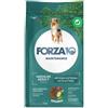 Forza10 Maintenance Medium Adult con Cervo e Patate - Forza10 - Maintenance Medium Adult con Cervo e Patate - 2KG