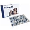 Vet Bros Cobalin - Vet Bros - Cobalin - 60X60CPR