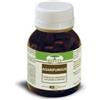 RENACO ITALIA R.I. GROUP Srl Agarifungus 60 Capsule