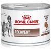 Royal Canin Recovery 195g Lattina Cani e Gatti