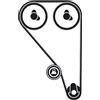 SKF VKMA 04226 Kit Tendicinghia Distribuzione | Compatibile con: FORD B-MAX, B-MAX Van, C-MAX, C-MAX II, ECOSPORT, FIESTA Stufenheck, FIESTA V, FIESTA V Van, FIESTA VI