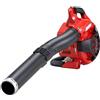 Soffiatore Shindaiwa EB 262
