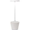 ZAFFERANO set da 3 lampade da tavolo POLDINA REVERSO - 3xLD0420B3