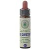 farmaflor Red Chestnut Nr. 25 Princeps Fiori di Bach Originali Gocce Castagno Rosso