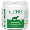V-INTEGRA Cane Adulto - Integratore Completo Ricco di Vitamine e Minerali, per la Dieta Casalinga e BARF di cani adulti - 500G - Made in Italy