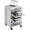 eurokraft pro Carrello multimediale, con rotelle eurokraft pro