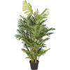 Palma Areca, real touch - kaiserkraft