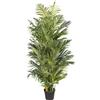 Palma Areca, real touch - kaiserkraft
