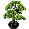 Larice bonsai, con ghiaia - kaiserkraft