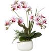 Orchidea phalaenopsis, real touch - kaiserkraft